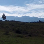 Roca Mirador
