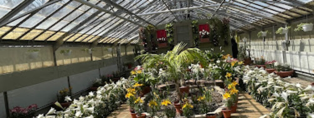 Rockefeller Park Greenhouse Travel Forum Reviews