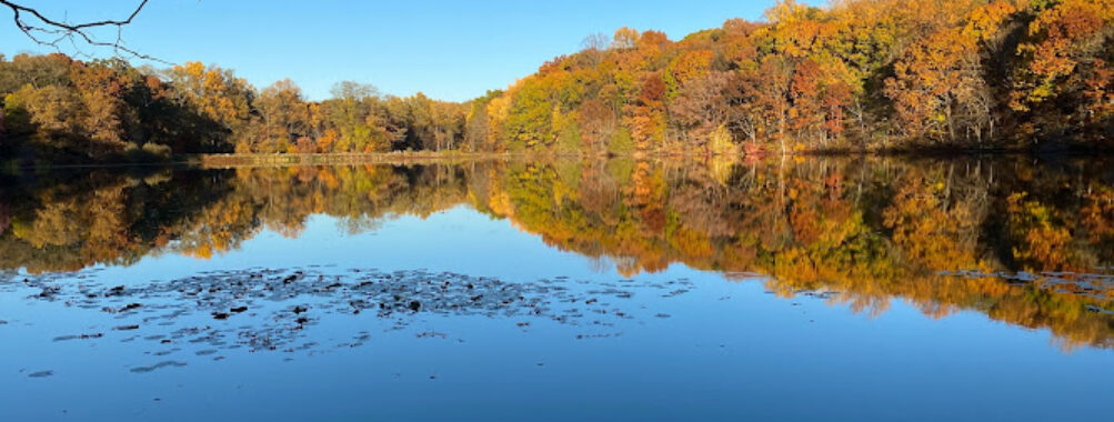 Rockefeller State Park Preserve Travel Forum Reviews