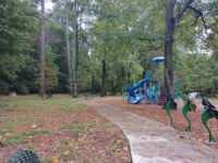 Rockwood Park Travel Forum Reviews