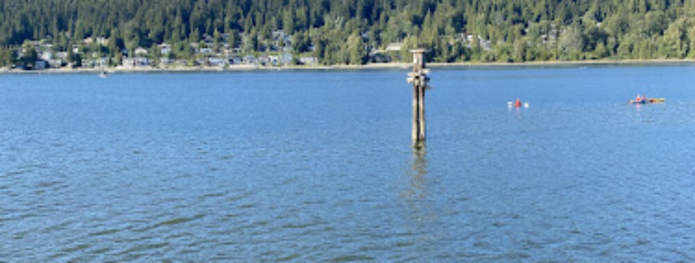 Rocky Point Viewpoint Travel Forum Reviews