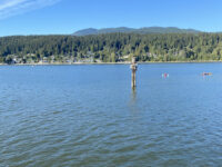 Rocky Point Viewpoint Travel Forum Reviews