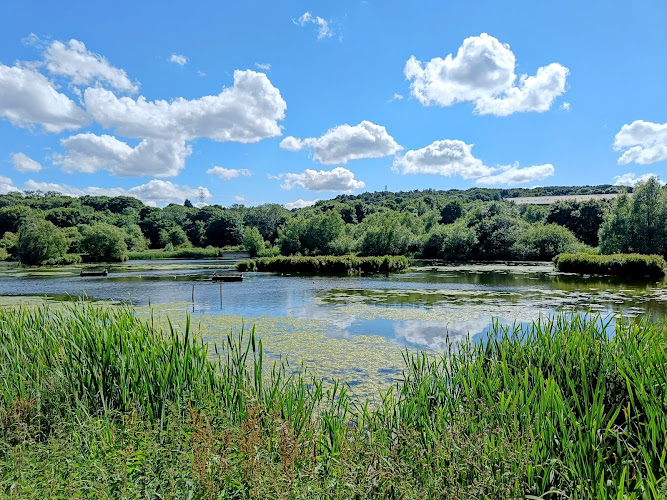 Rodley Nature Reserve