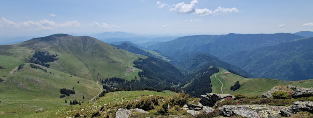 Rodnei Mountains National Park Travel Forum Reviews