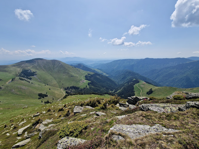 Rodnei Mountains National Park