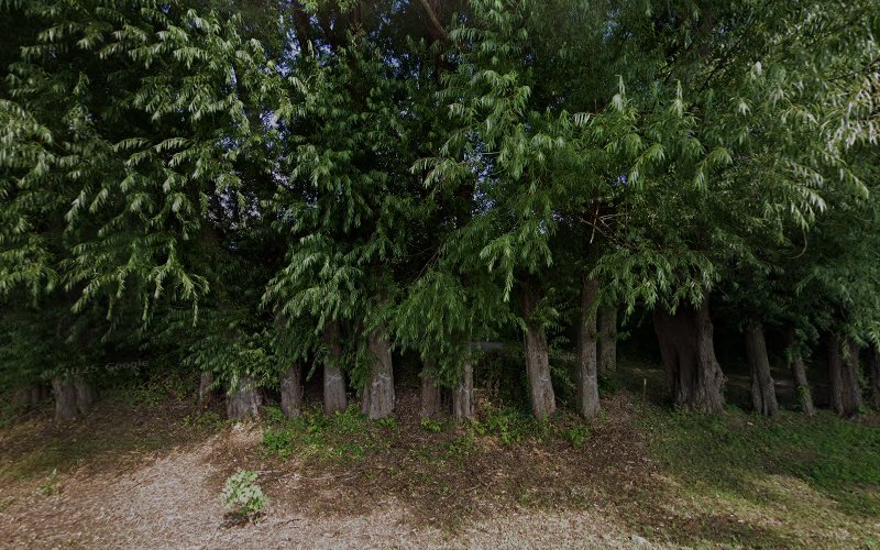 Roesler Park
