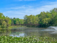 Rogers Lakewood Park Travel Forum Reviews