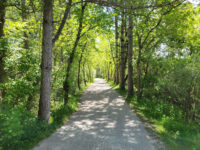 Rogers Reservoir Conservation Area Travel Forum Reviews