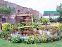 Rohi Park - Officer Colony, Bahawalpur Travel Forum Reviews