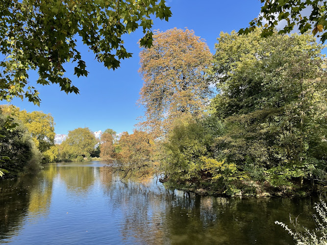 Rombergpark Botanical Garden