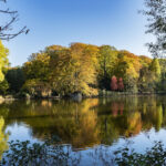 Rombergpark