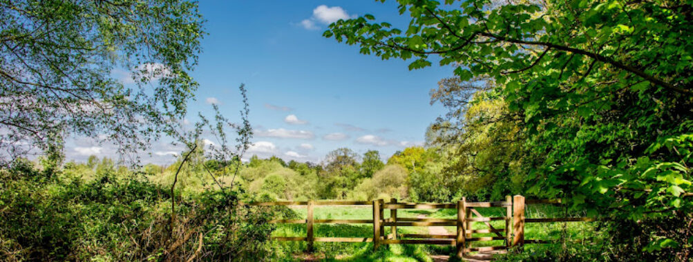 Rook's Nest Wood Country Park Travel Forum Reviews