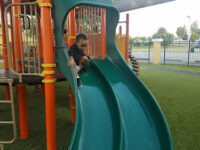 Roosevelt Gardens Park Travel Forum Reviews