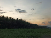 Rosario Tandag Pacific Coast Travel Forum Reviews