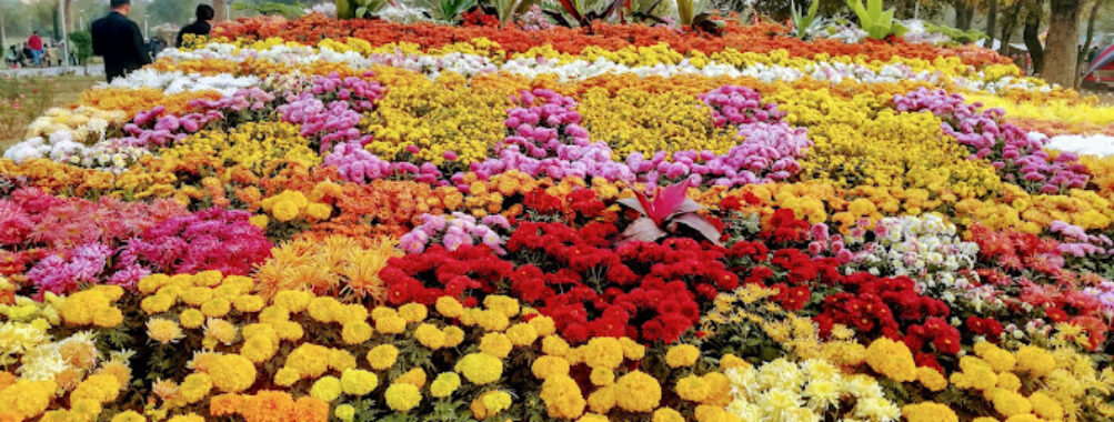 Rose And Jasmine Garden Travel Forum Reviews