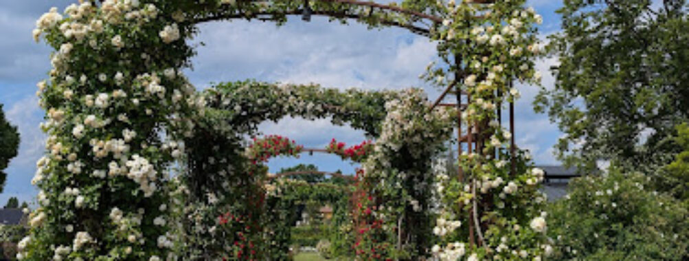 Rosenlund Rosarium Travel Forum Reviews