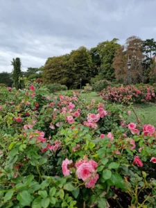 Roseraie Internationale