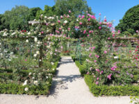Roseraie de L'Haÿ Travel Forum Reviews
