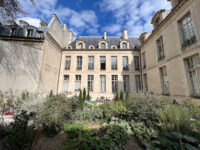 Rosiers Joseph Migneret Garden Travel Forum Reviews