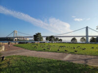 Ross Dock Picnic Area Travel Forum Reviews
