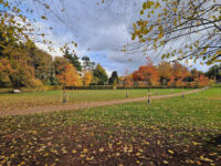 Rothamsted Park Travel Forum Reviews