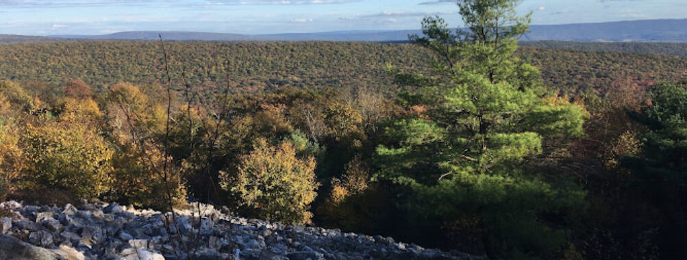 Rothrock State Forest Travel Forum Reviews