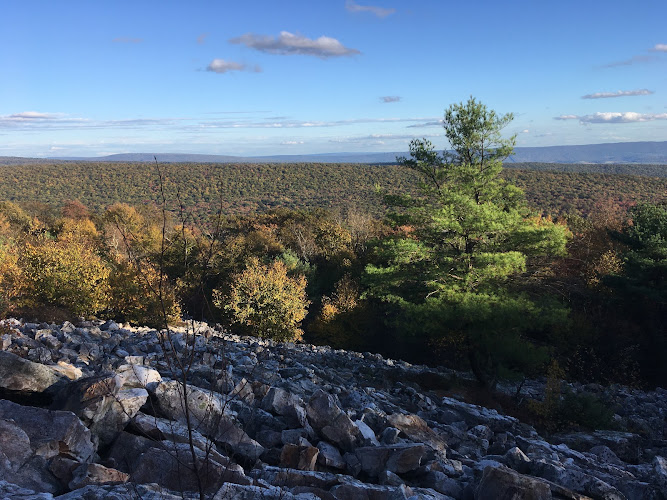 Rothrock State Forest