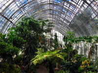 Rouen Botanical Garden Travel Forum Reviews