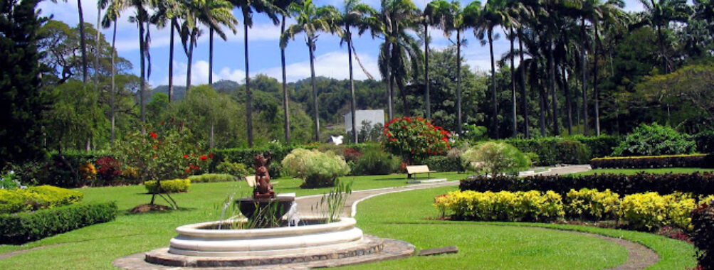 Royal Botanic Gardens Travel Forum Reviews