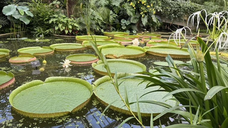 Royal Botanic Gardens