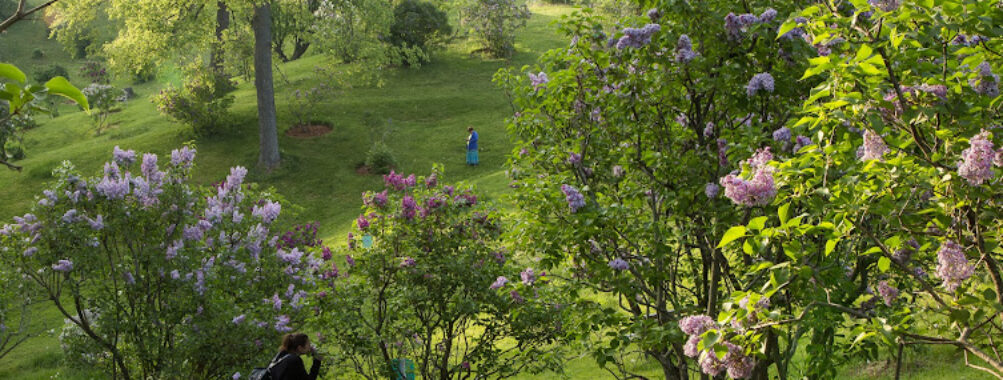 Royal Botanical Gardens - Arboretum Travel Forum Reviews