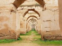 Royal Stables Travel Forum Reviews