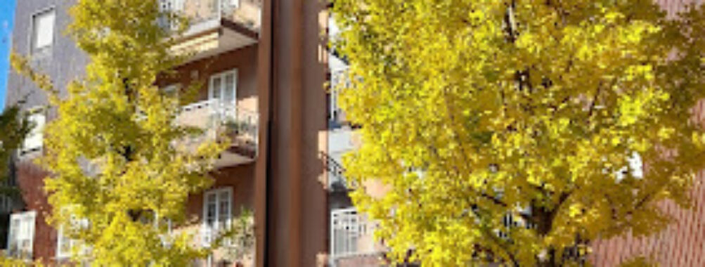 Rozzano Travel Forum Reviews