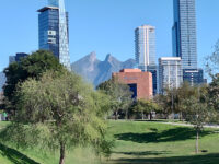 Rufino Tamayo Park Travel Forum Reviews