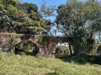 Ruinas de Ex-Hacienda Travel Forum Reviews