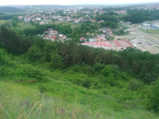 Ruinele cetații Șcheia