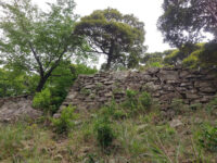 Ruins of Shimizusan castle Travel Forum Reviews