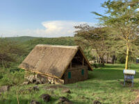Ruma River Lodge Travel Forum Reviews