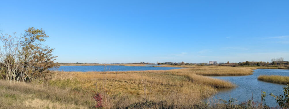 Rumney Marsh Reservation Travel Forum Reviews