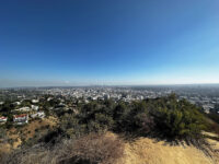 Runyon Canyon Park Travel Forum Reviews