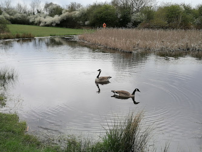 Rushley Park