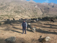 Ruta huaral cerro de pasco Travel Forum Reviews
