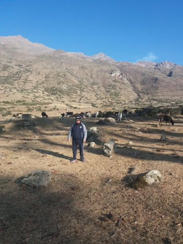 Ruta huaral cerro de pasco