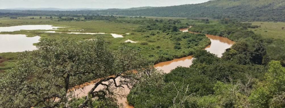 Ruvubu National Park Travel Forum Reviews