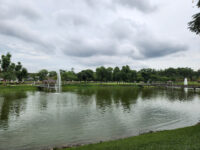 S2 City Park Travel Forum Reviews