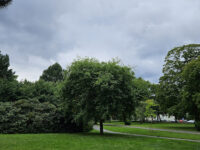 SLINGAN ~ Natur- & KulturStig, Ryhov, Jönköping Travel Forum Reviews