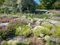 SLU Kunskapsparken Travel Forum Reviews