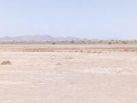 SM Desert Travel Forum Reviews