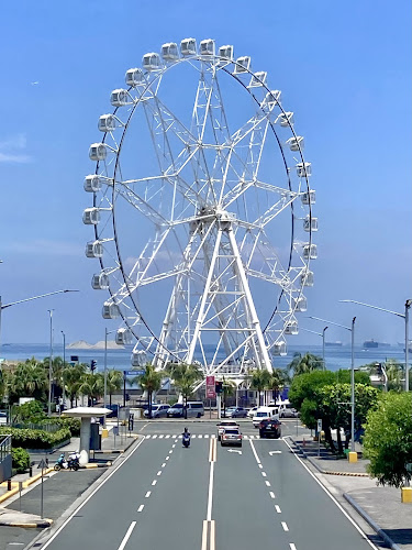 SM MOA Eye