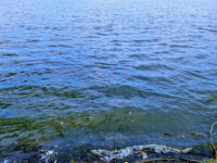 SRTMU Lake Travel Forum Reviews